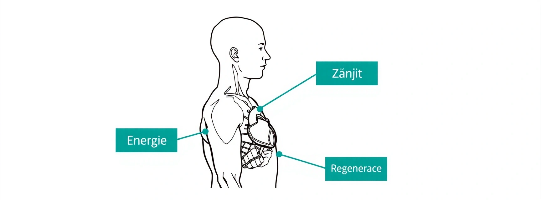 Mapa těla - analýza
